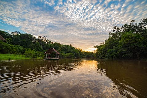 Peru Selvatico (IQUITOS)