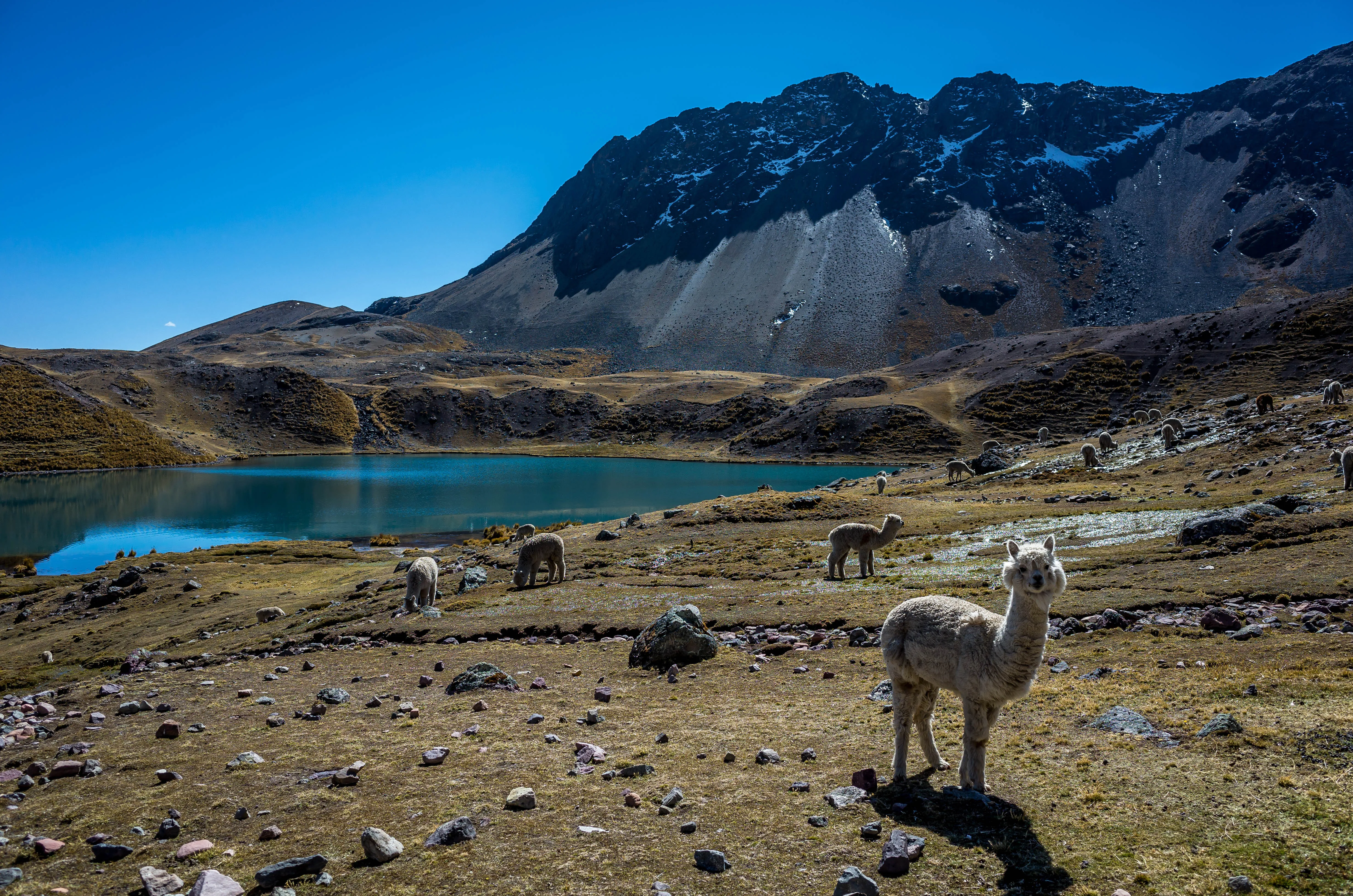 Siete Lagunas de Ausangate (CUSCO)